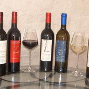 carte des vins domaine vents du sud