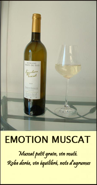 EMOTION MUSCAT CARTE