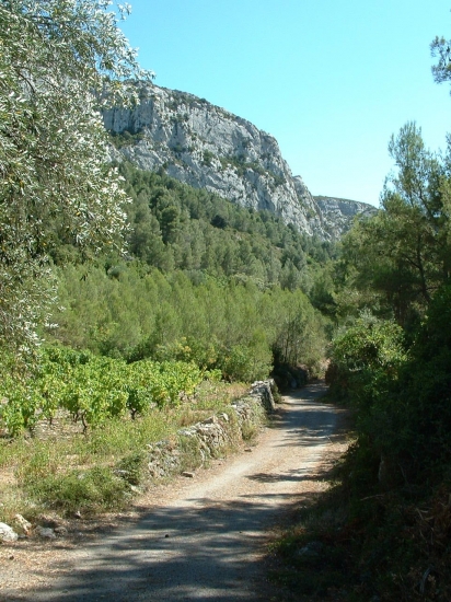 Randonnée de Vingrau à Tautavel