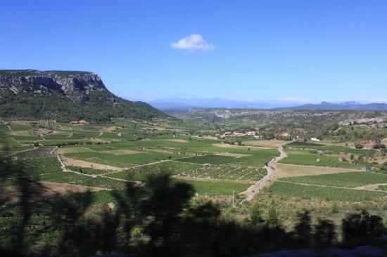 VIGNES CIRQUE DE VINGRAU