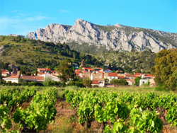 village-vignes-domaine-vents-du-sud