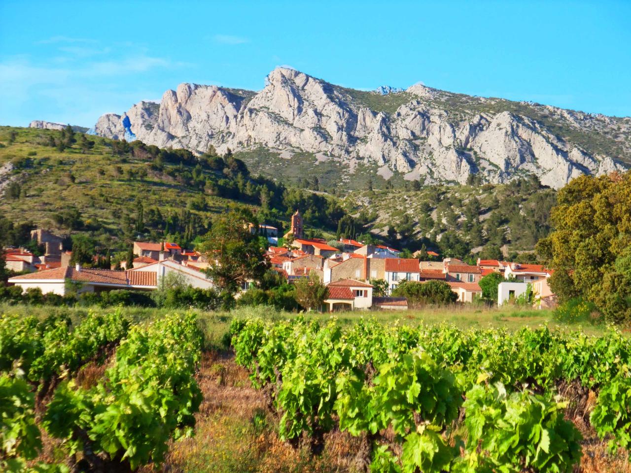 village vignes domaine vents du sud