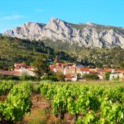 village vignes domaine vents du sud