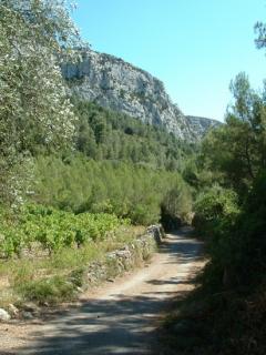 DSCF0006.jpg
