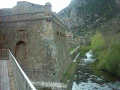 IMAG0002.jpg